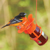Orange Blossom Oriole Bird Feeder - Qivras