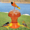 Oriole Nectar Bird Feeder 52 oz - Qivras