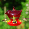 Red Bird Hummingbird Feeder - Qivras