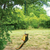 Deluxe Squngee Cord Squirrel Feeder