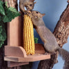 Platform Cedar Squirrel Feeder