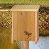 Two Chamber Cedar Bat House