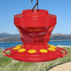 Hummingbird Flower Feeder 16 oz