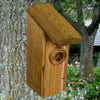 Cedar Squire Arch Roof Birdhouse