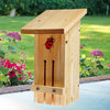 Ladybug Habitat Insect House