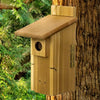 Ultimate Bluebird House w/Viewing Window