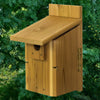 Ultimate Western & Mountain Bluebird House