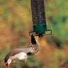 Yankee Flipper Squirrel Proof Bird Feeder